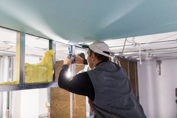 Best Insulation Contractors for Homes  in Whiteville, NC